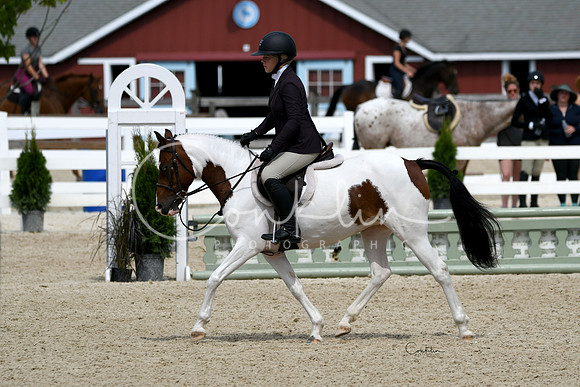 HSM_7385-1