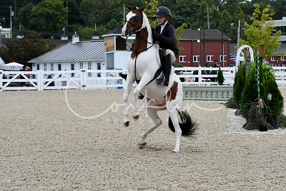 HSM_5142-1