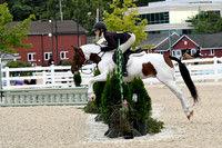 HSM_5085-1