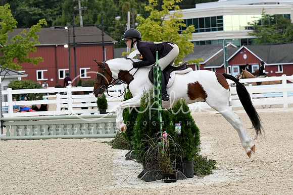 HSM_5085-1