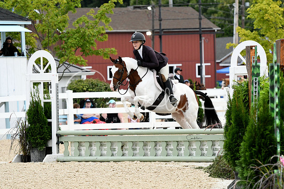 HSM_5146-1