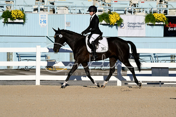 HSM_4225-1