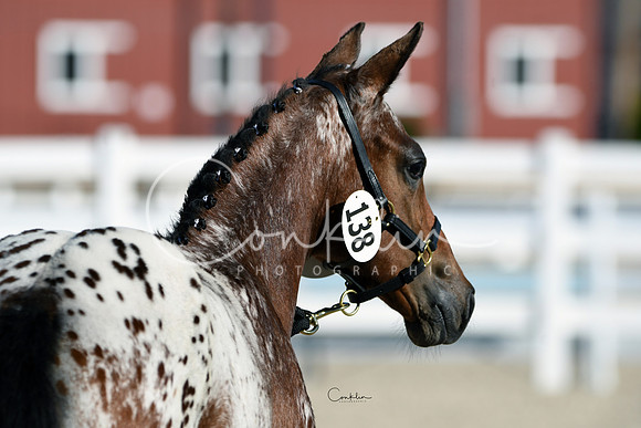 HSM_4389-1