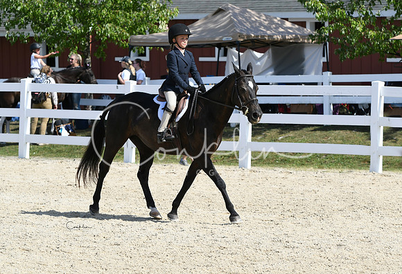 HSM_3737-1