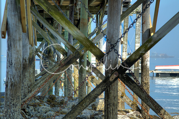 C83G7665_6_7_8_9_tonemapped