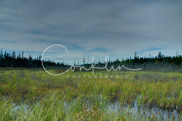 C83G6178_79_80_81_82_fused