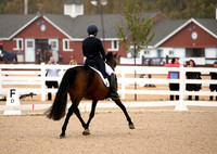 BW241689-