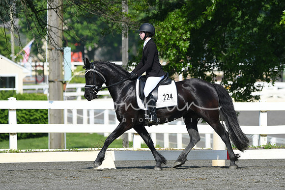 HSM_1082