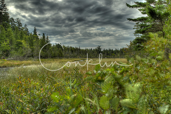 C83G6416_17_18_19_20_tonemapped