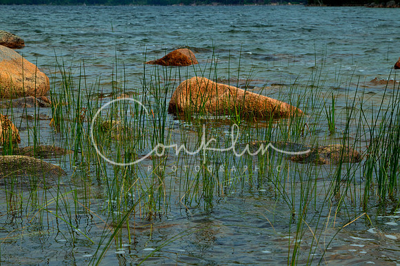 C83G6392_tonemapped