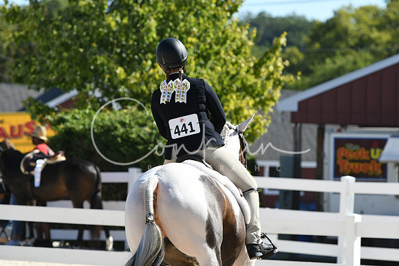 HSM_2536
