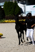 RJC37275