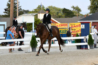 HSM_0340