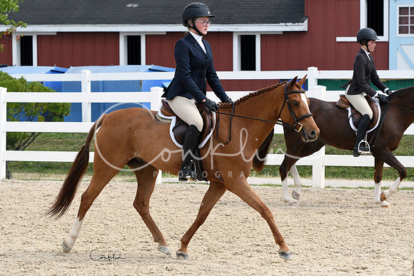 HSM_7654-1