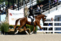 HSM_3637-1