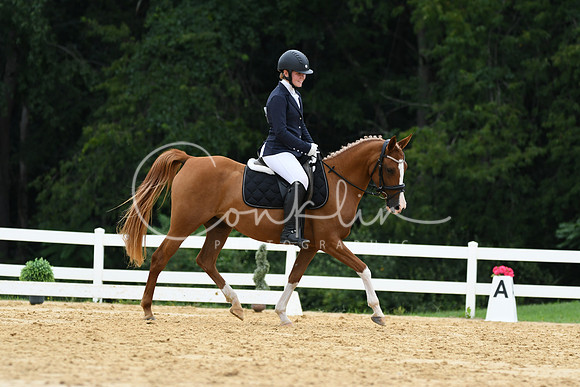 HSM_0181