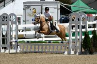 HSM_2055