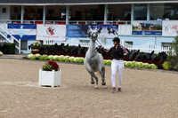 RJC32001
