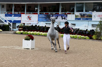 RJC32002