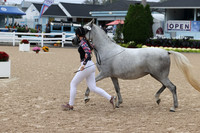 RJC32006