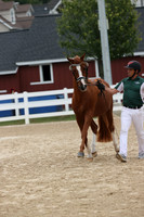 RJC31749
