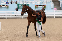 RJC31275