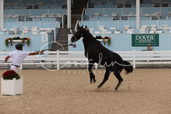 RJC31032