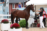 RJC33045