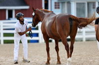 RJC32249
