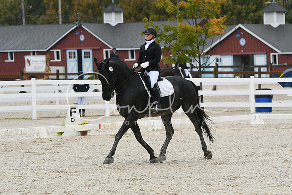 HSM_0462