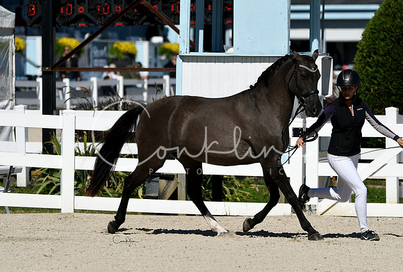 HSM_4663-1