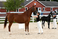 HSM_6318