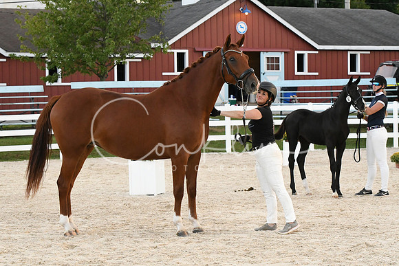 HSM_6318