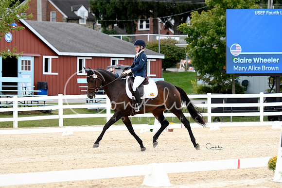 _TJP4546-1