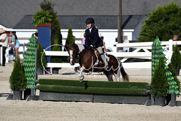 HSM_4169-1