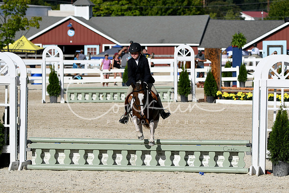 HSM_4168-1