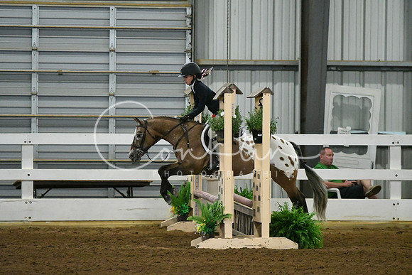 HSM_4982