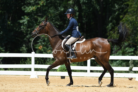 HSM_1353