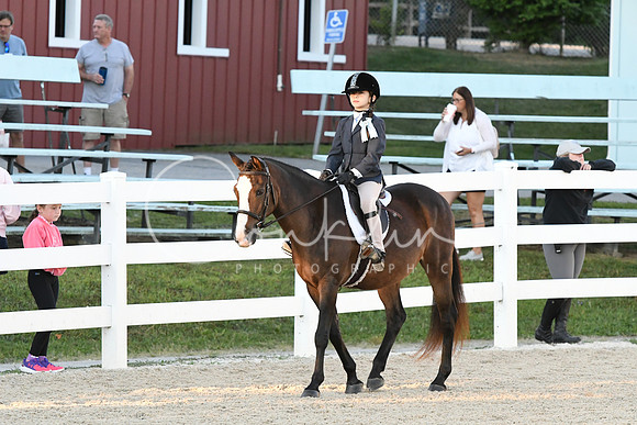 HSM_1595