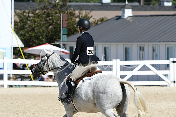 HSM_2856