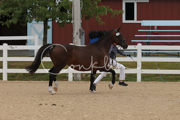 HLK_4158