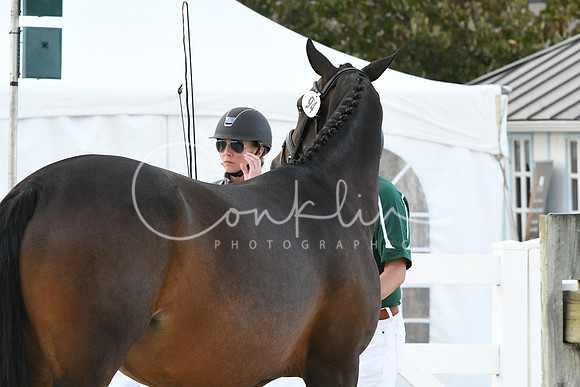 HSM_6377