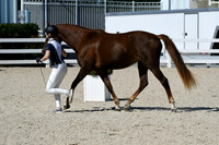 HSM_4614