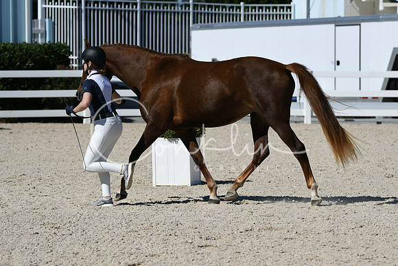 HSM_4614