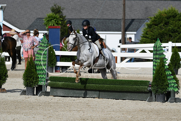 HSM_4139