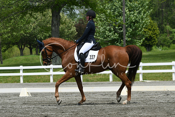 HSM_0546