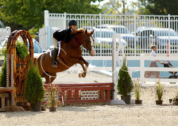 1I7A9254-1