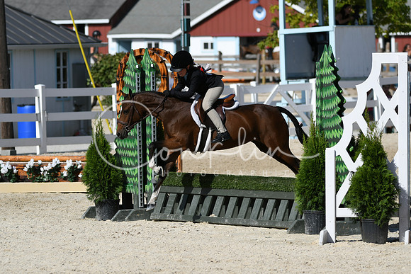 HSM_3982
