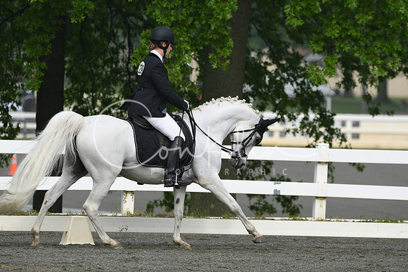 HSM_0968