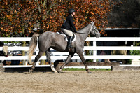 HSM_1863